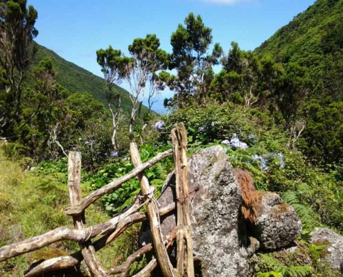 cruising-azores-13