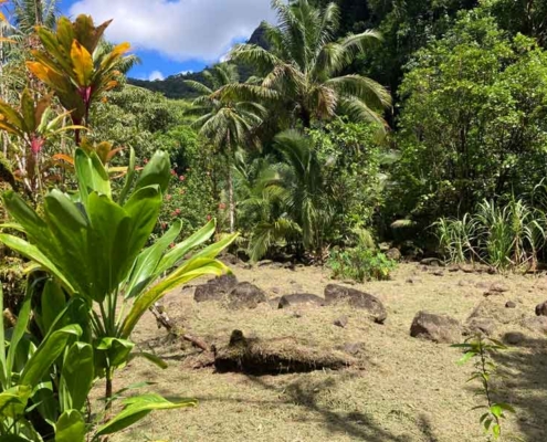 Tahiti Faaiti valley