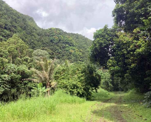 Tahiti Faaiti valley