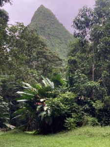 Tahiti Faaiti valley