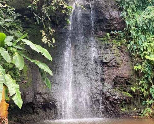 Vaiphi's river trail