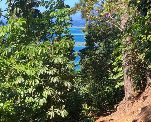 Vaiphi's river trail