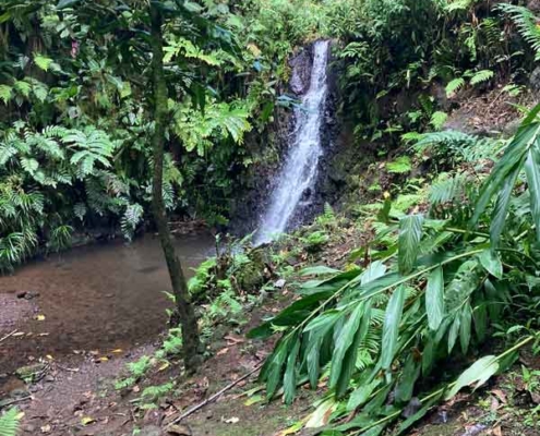 Vaiphi's river trail