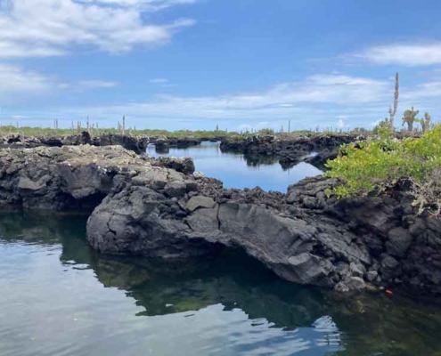 lava tunnels