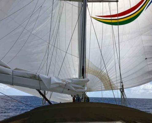 sailing down wind