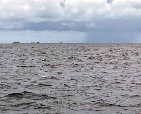 sailing to Fakarava