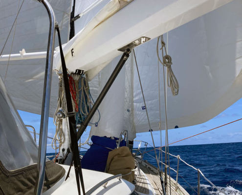 wing on wing + staysail